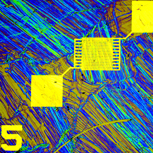 The image shows a Field effect transistor, based on semiconducting 2-D-Polymers (colored streaks). The image is taken with a microscope, the intricate gold electrodes are just 20 micrometers wide. The figure '5' is about 0.4 millimeters high.
